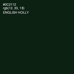 #0C2112 - English Holly Color Image
